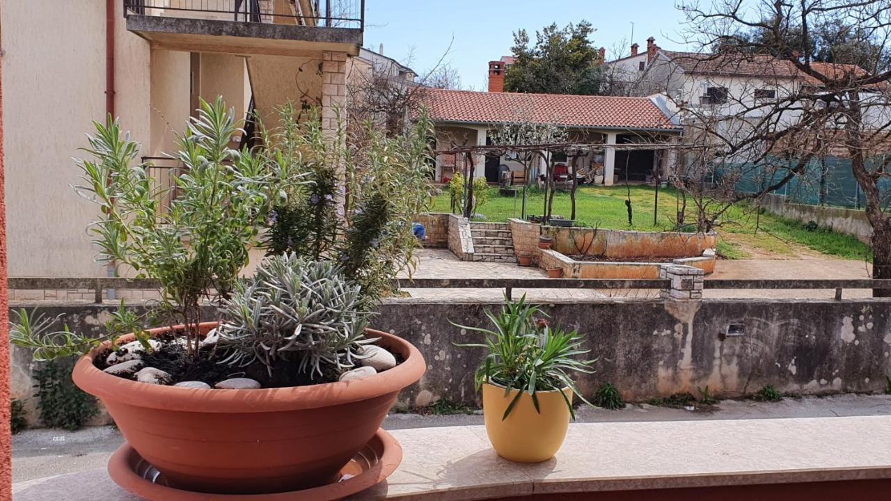 דירות PUY Apartman Istria 4 You מראה חיצוני תמונה